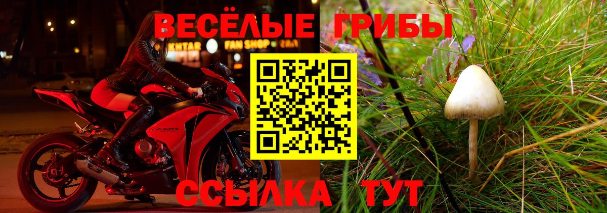 Псилоцибиновые грибы мицелий Вышний Волочёк